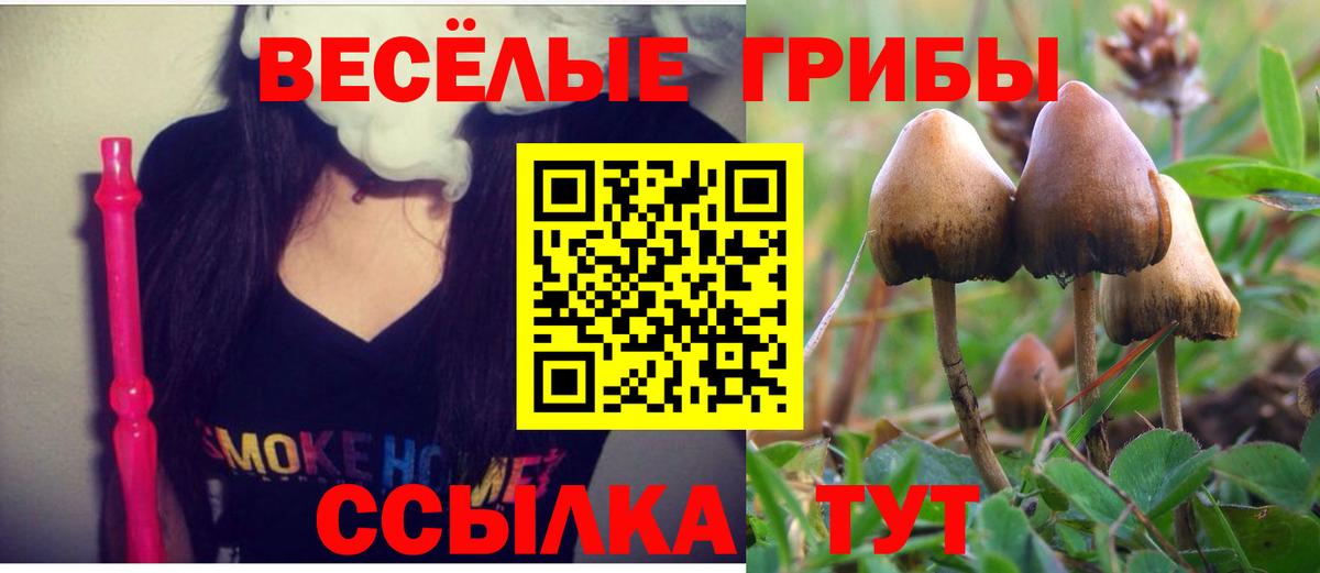 Чапаевск  Галлюциногенные грибы мухоморы  Вход с VPN 